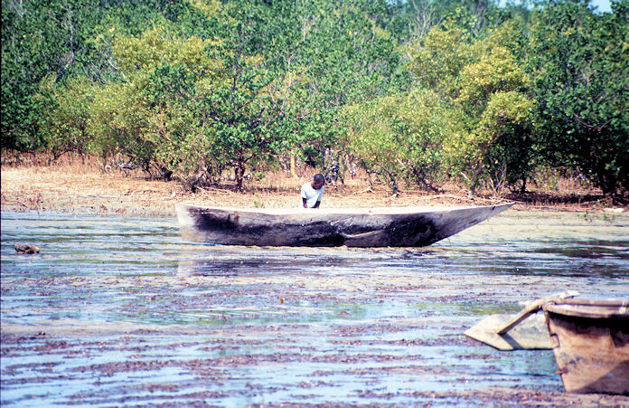 Sudafrika bis Tansania 1995-03-058.jpg